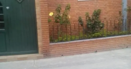 SAN ESTEBAN PROTOMARTIR BOGOTÁ SAN ESTEBAN PROTOMARTIR BOGOTÁ